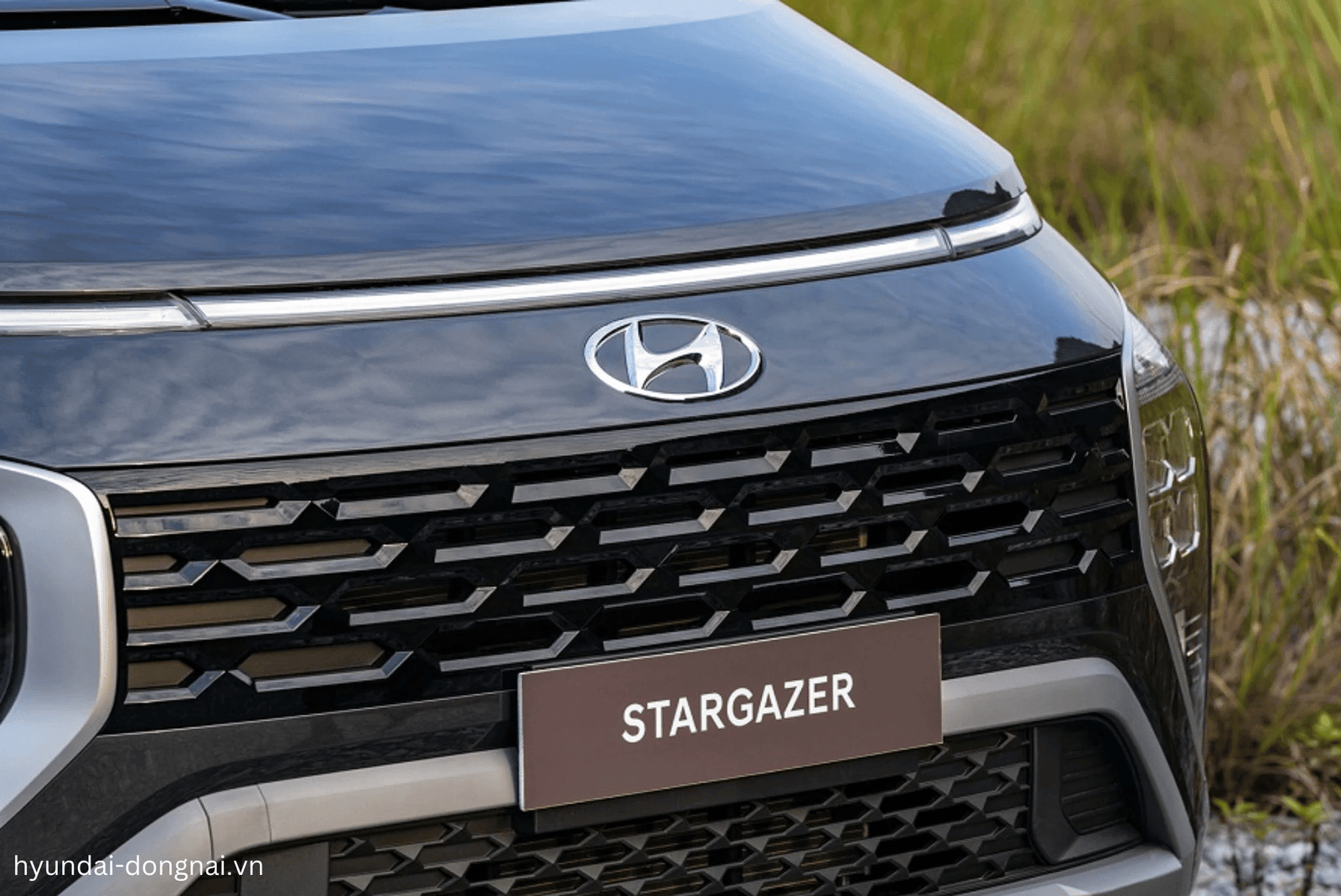 Hyundai Stargazer